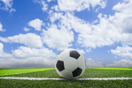 足球初学者通过平台学习足球知识