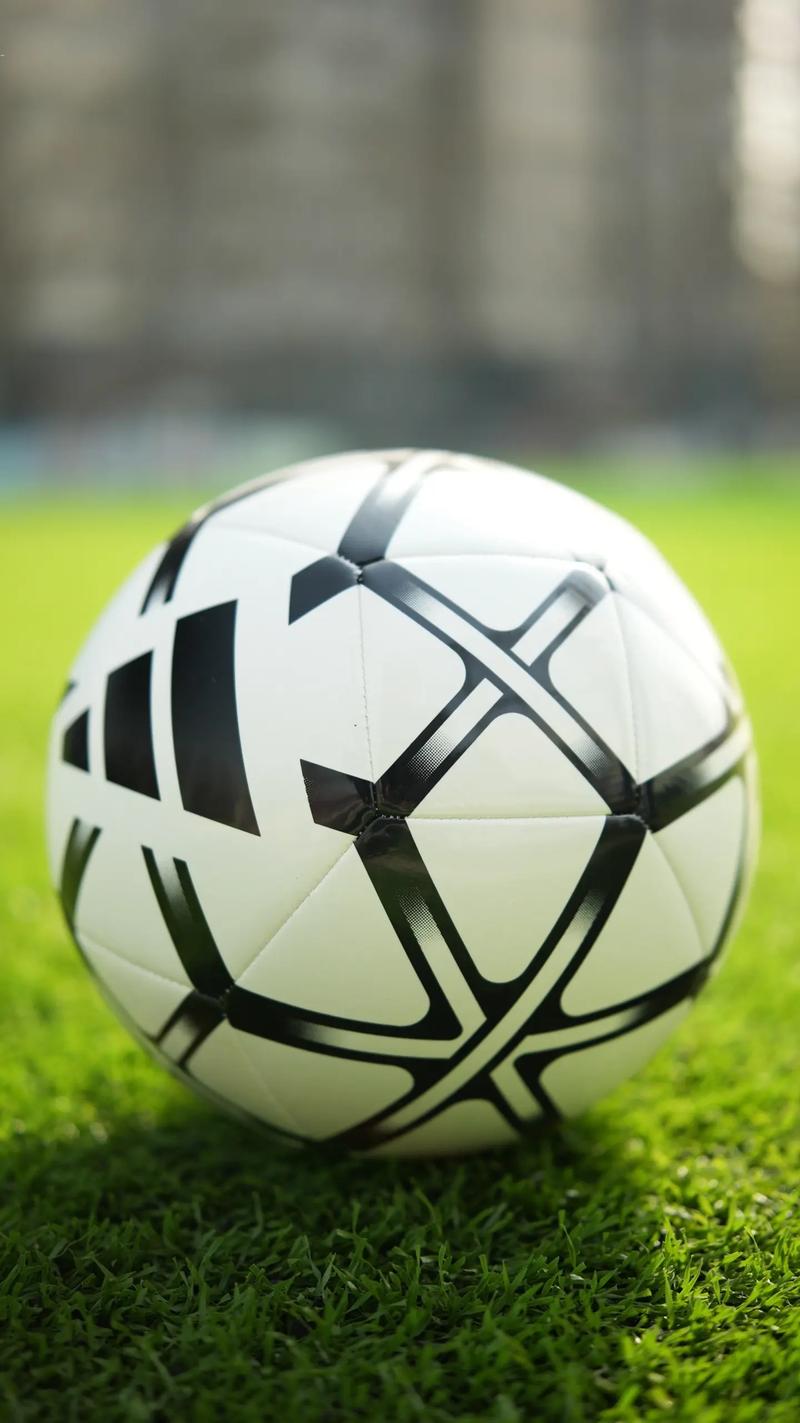 业余足球队教练使用平台研究对手